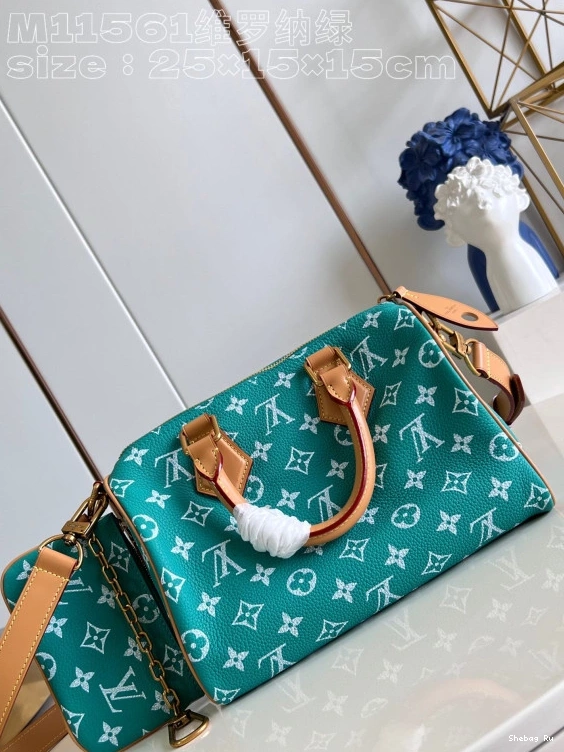 Vuitton 25 SPEEDY Louis 0810